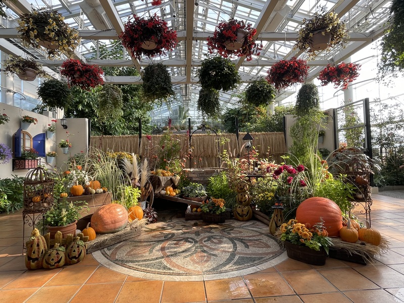 温室ハロウィン展示.JPG