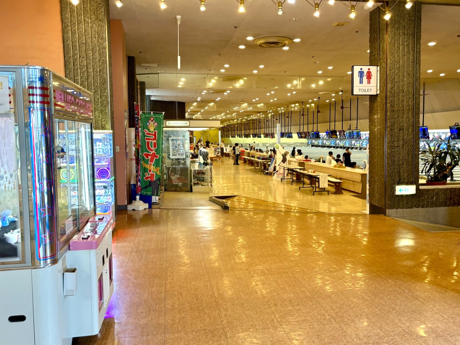 場内の全景