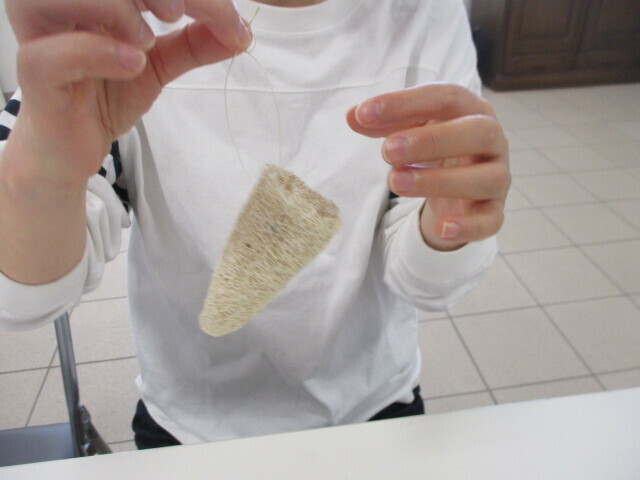 へちまを草木染めして飾りをつくろう