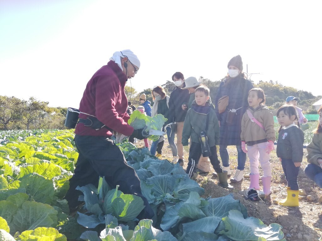 【画像】12/6(土) 7(日) あったか農場「ブロッコリー/キャベツ/なすの収穫体験」（浜松市雄踏町）