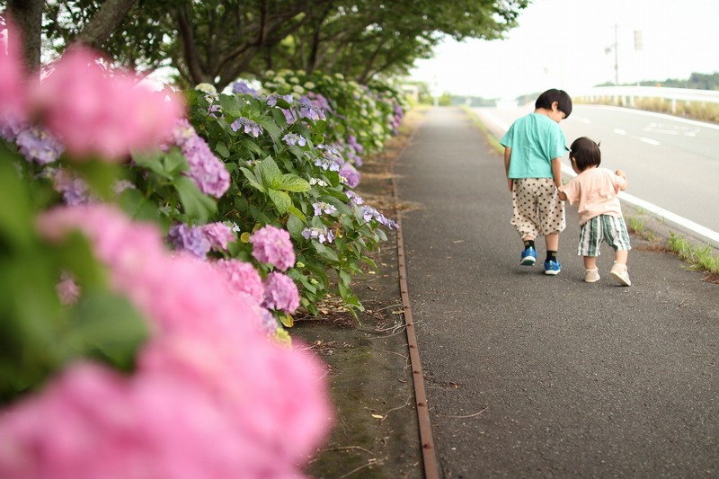 はじめてのおさんぽ【細江町都田川沿い】