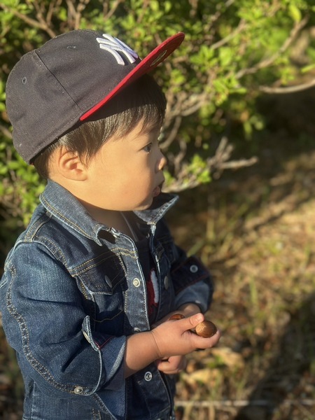 どんぐりいっぱぁ～い