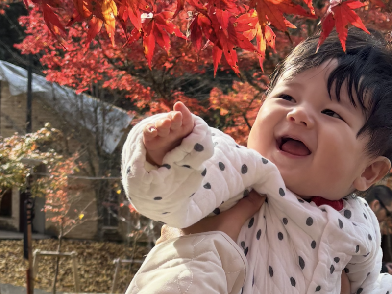 紅葉触れるかな