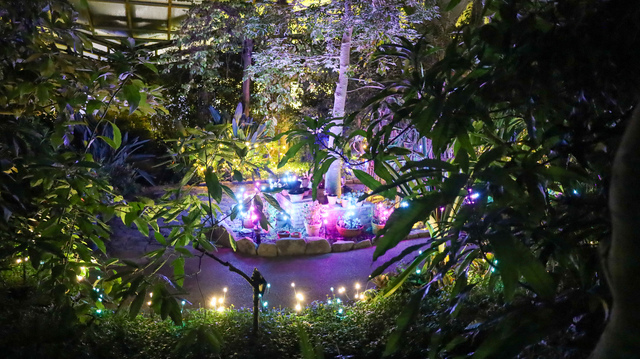 ウインターイルミネーション