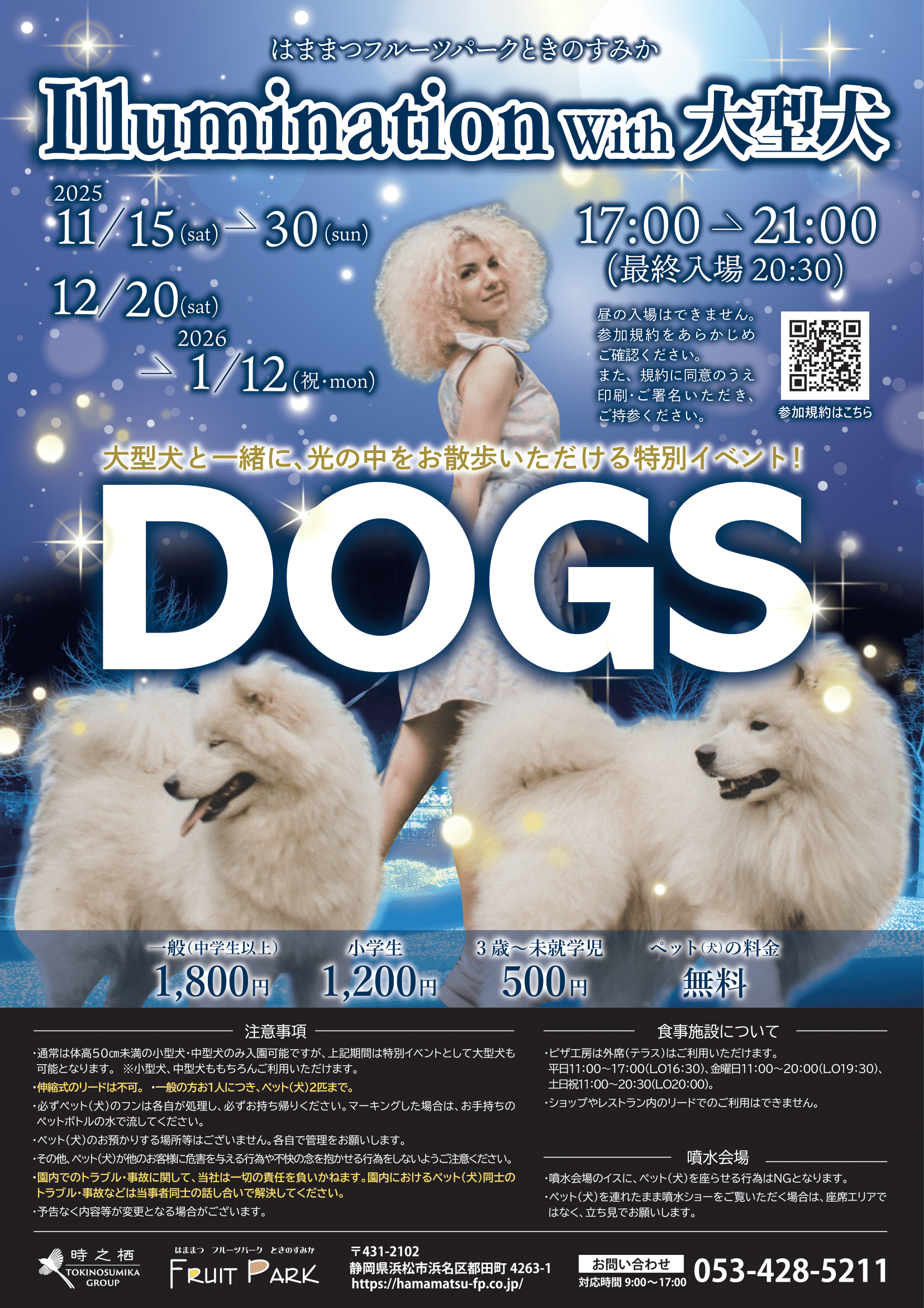 イルミネーション with 大型犬