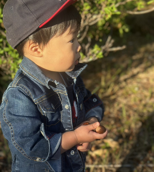 どんぐりいっぱぁ～い