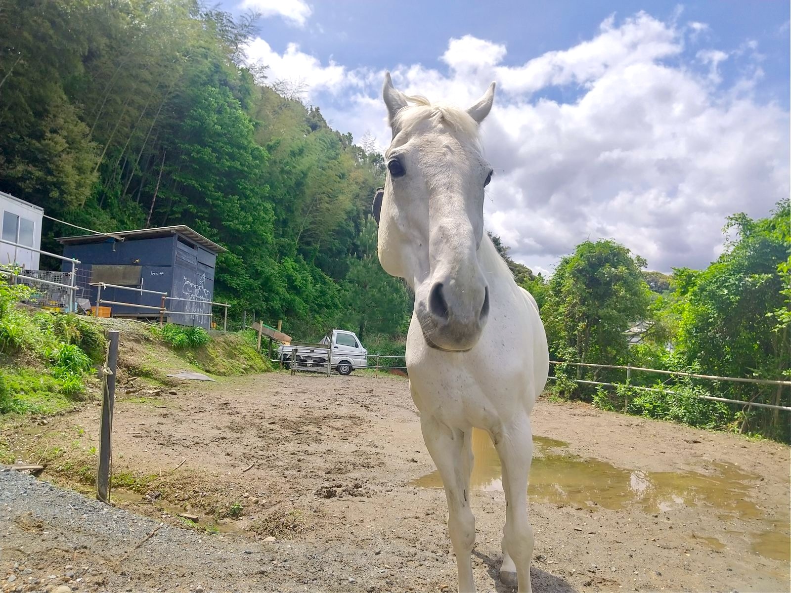 ブロートリーベン