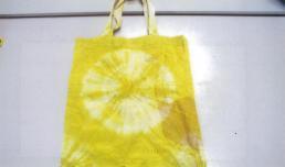 【画像】ケナフ教室