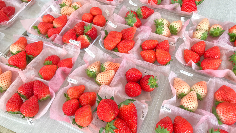 いちごサミット