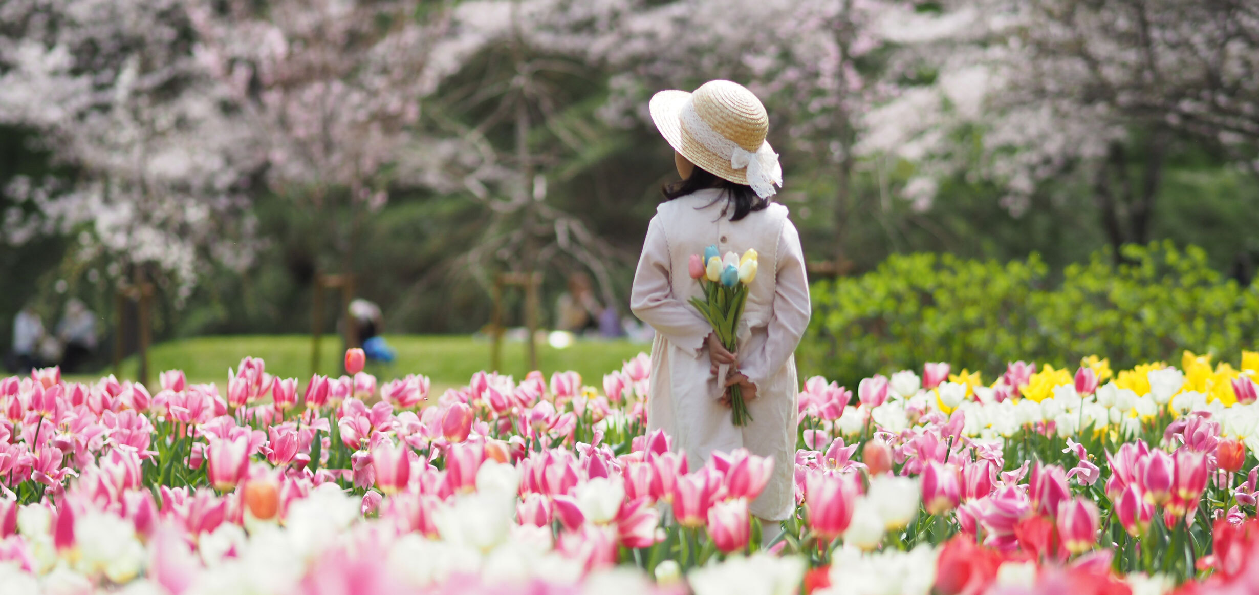 フォトコン2023春夏 最優秀賞作品 #はままつフラワーパーク