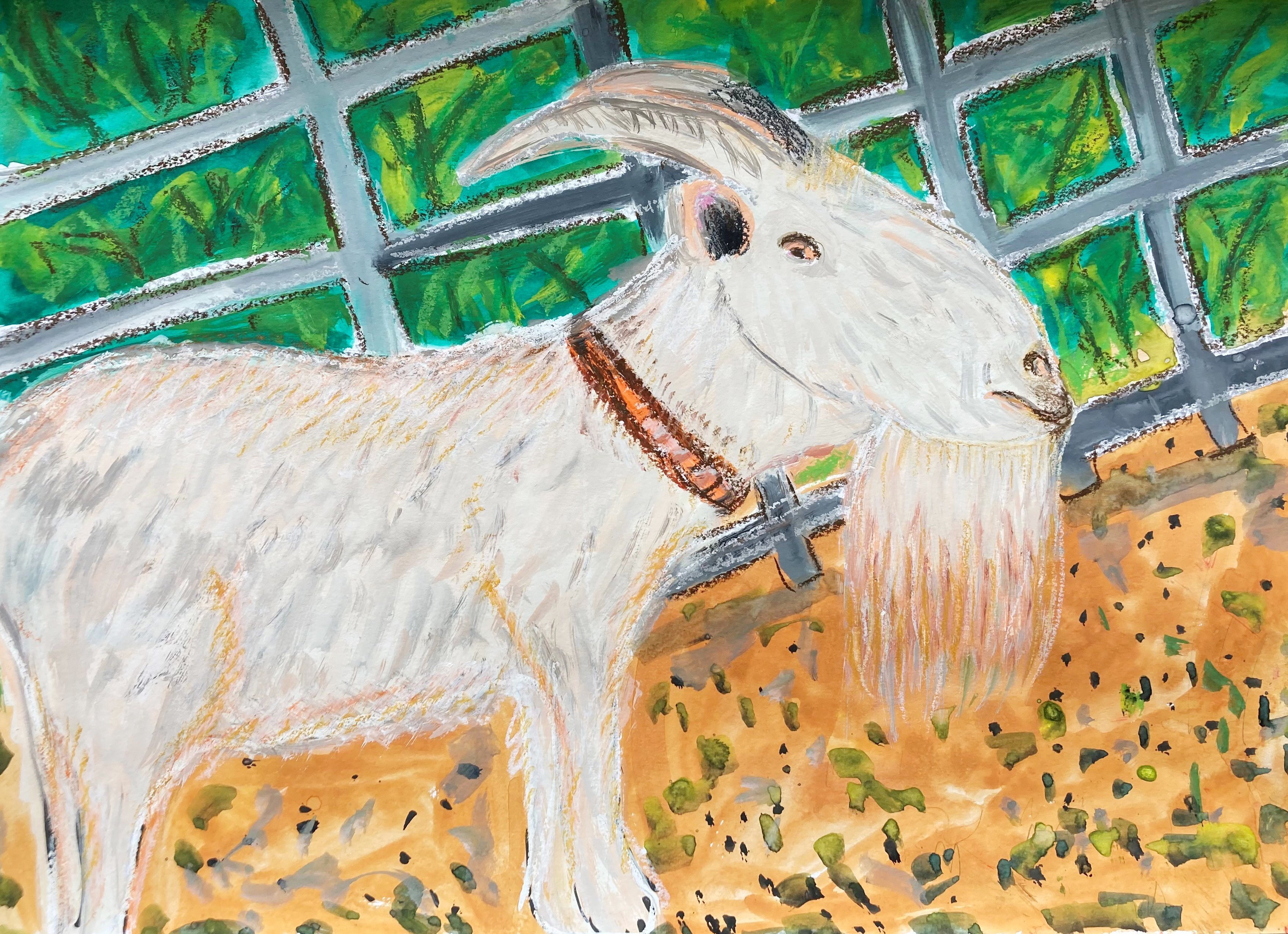 2.特選_富田 絢心.jpg