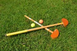 【画像】グラウンドゴルフ