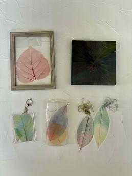 【画像】ボタニーペインティング教室