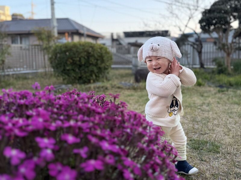 きゃー綺麗なお花！