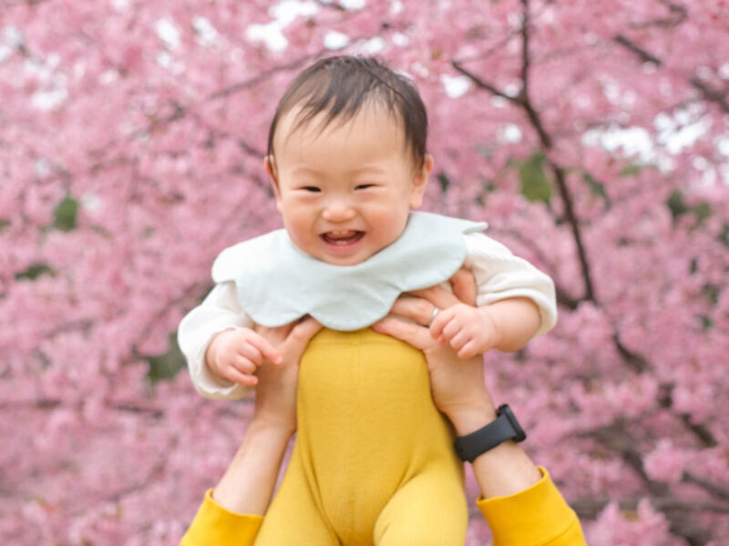はじめての桜