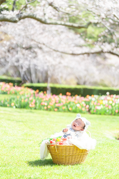 桜とチューリップに囲まれて