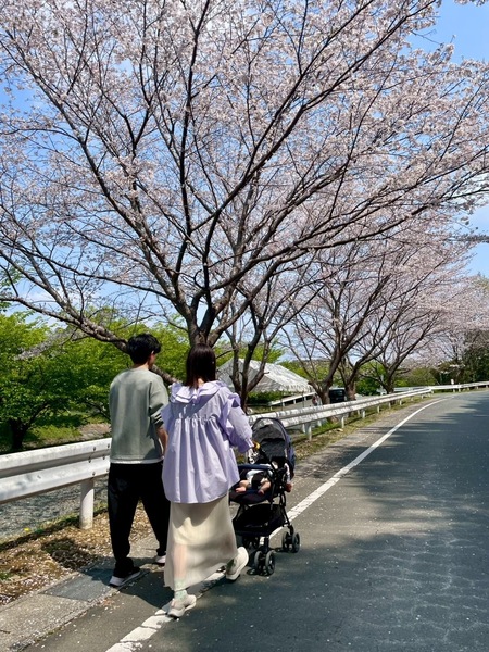 初めてのさくら