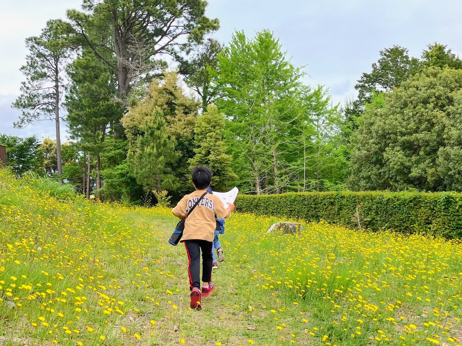 森林公園なぞとき