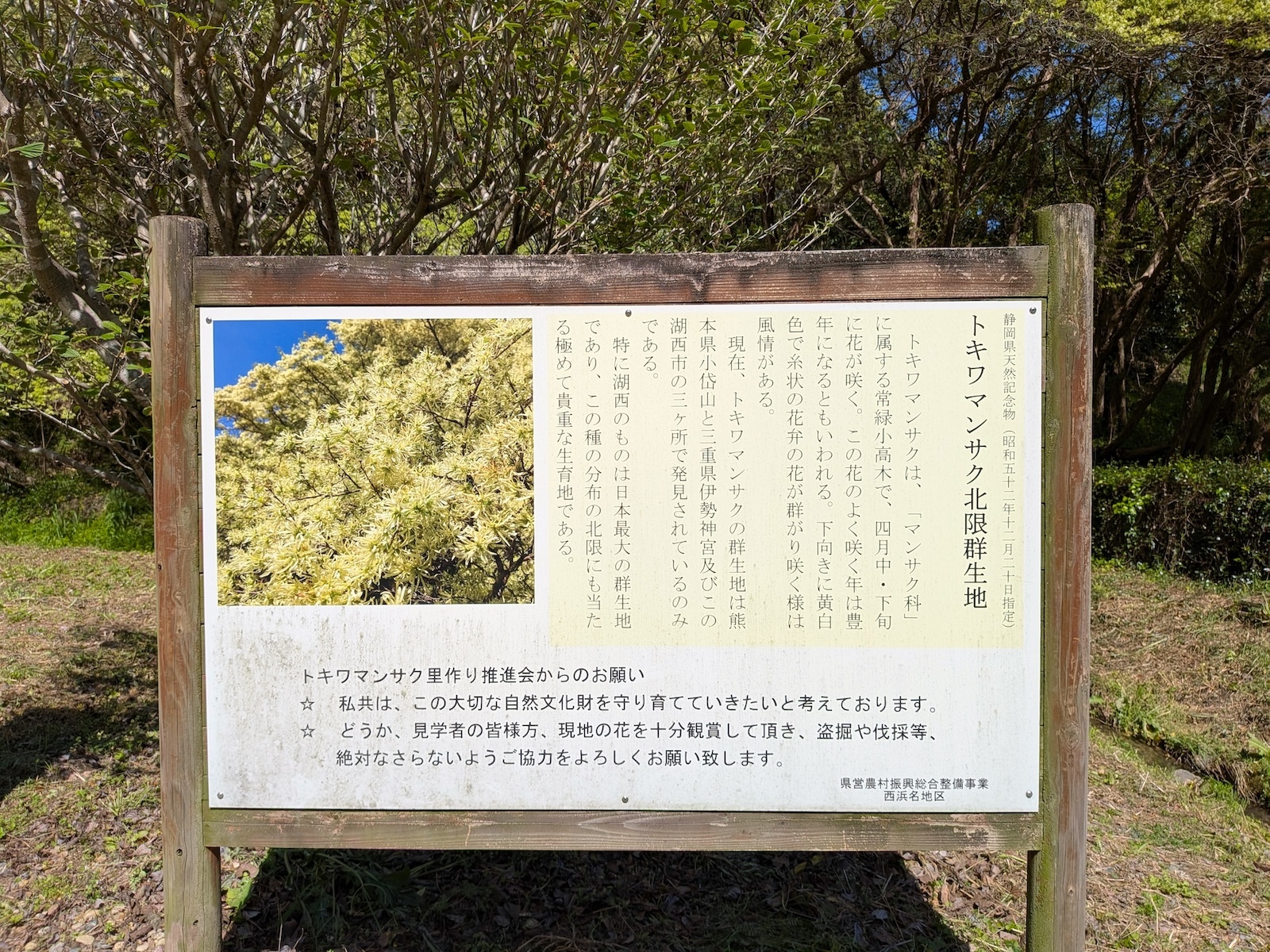 看板