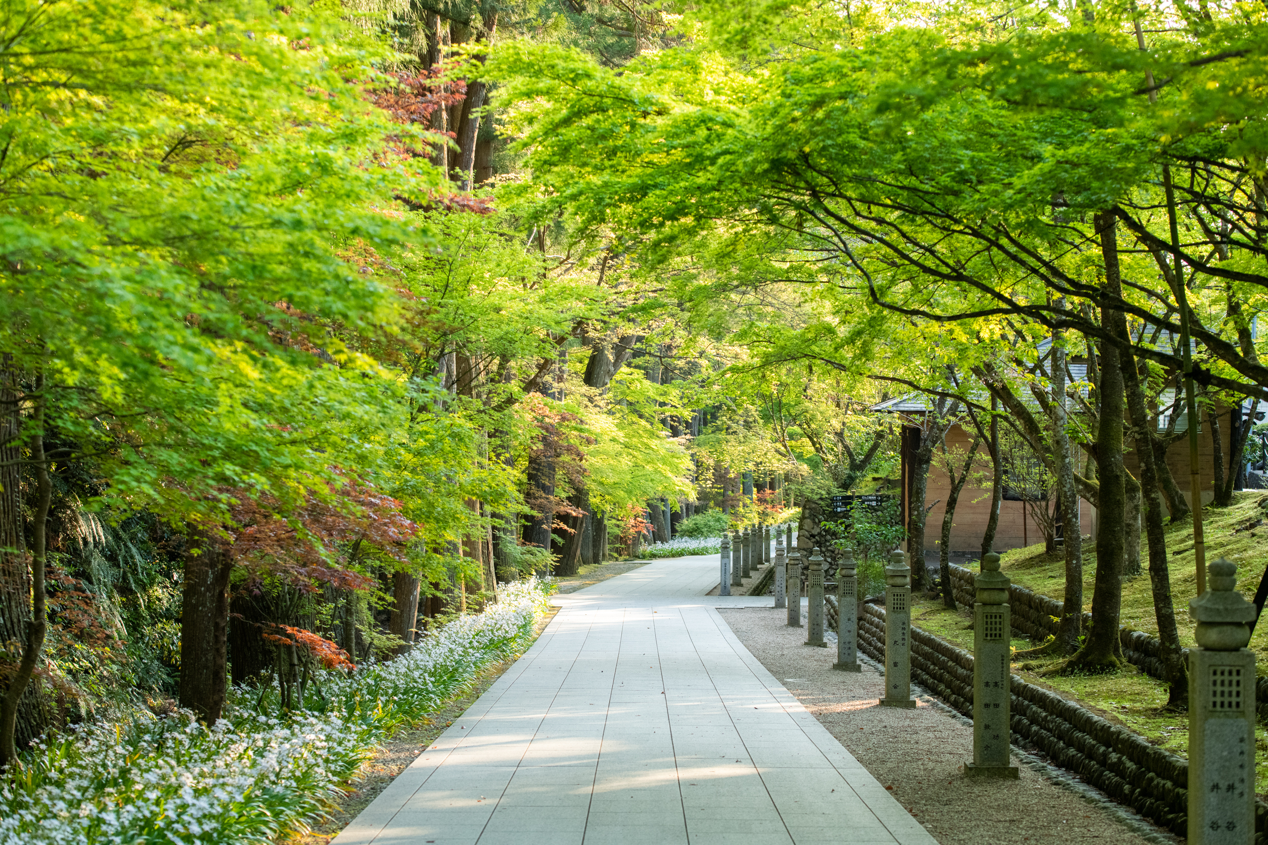 【画像】法多山新緑まつり2026