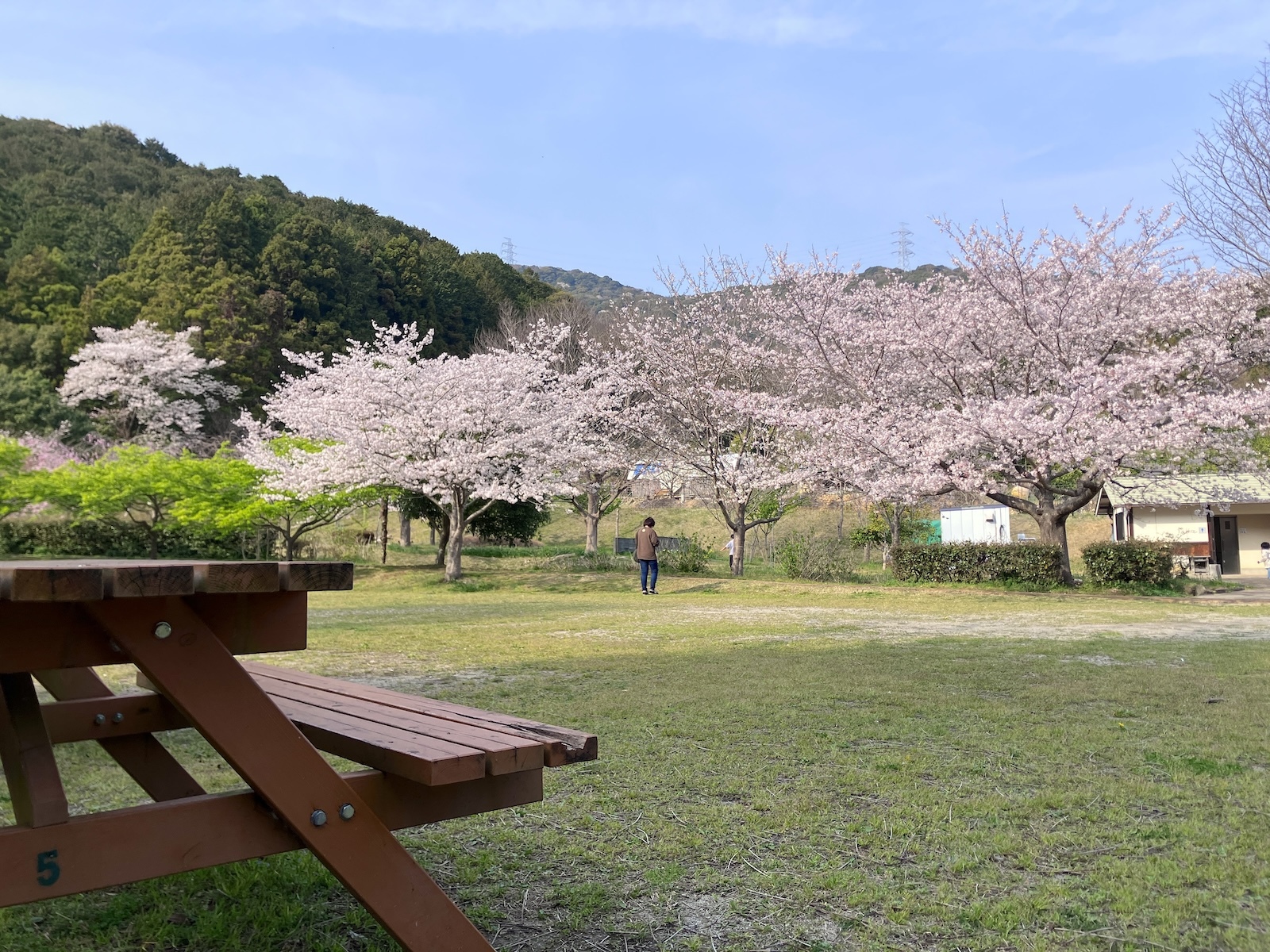 全景