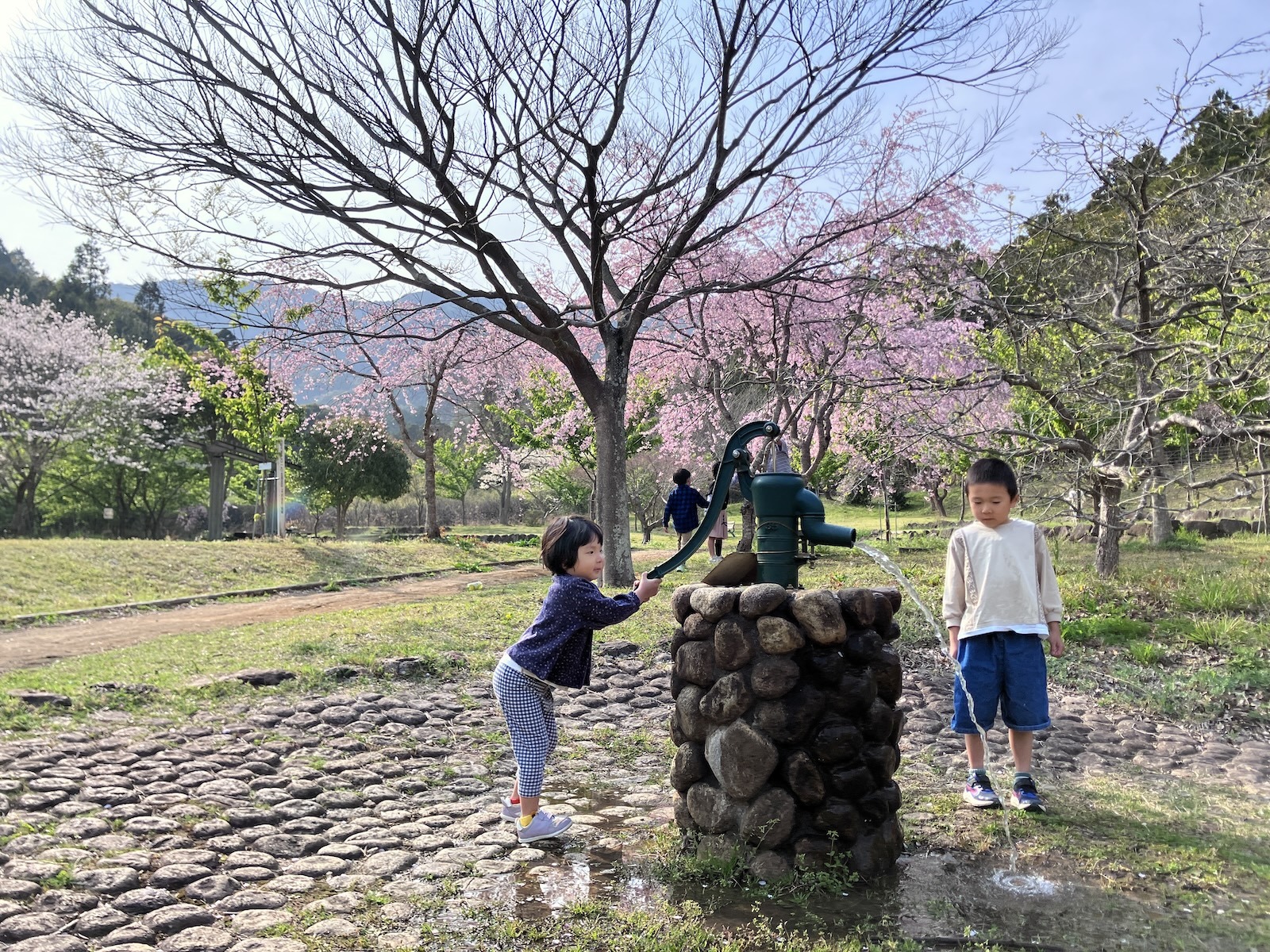 井戸