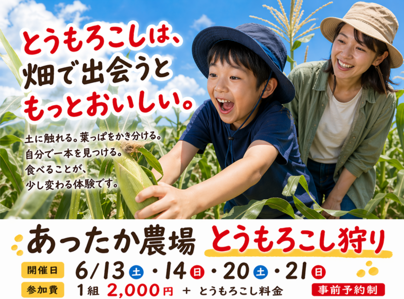 【画像】あったか農場「とうもろこし狩り体験」