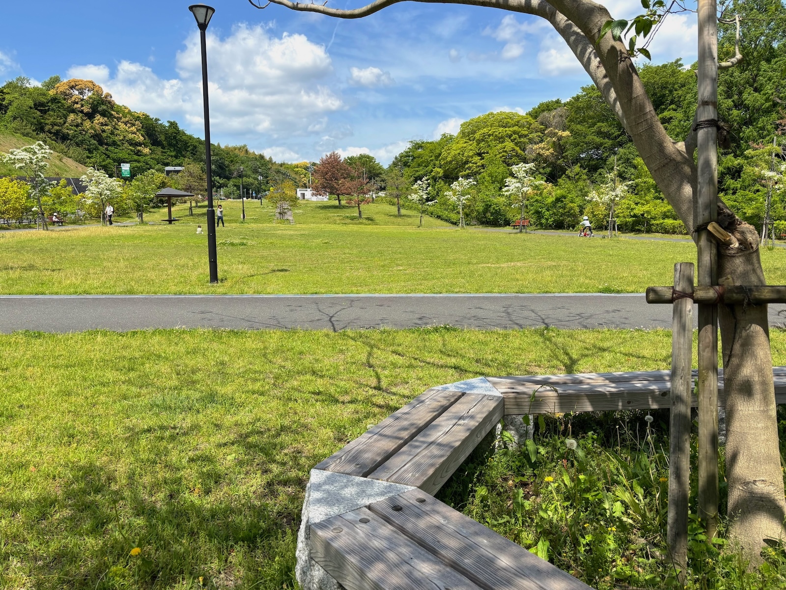 芝生広場