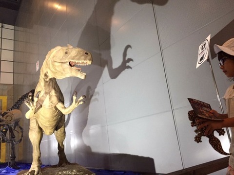 展示1