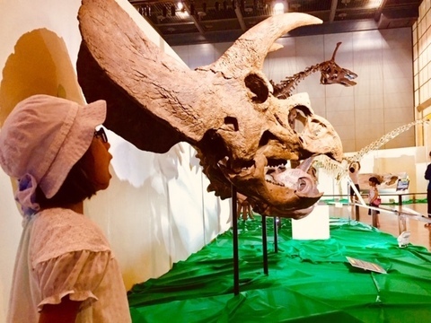 展示3