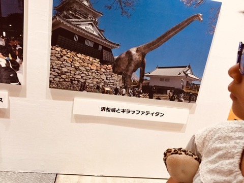 展示4