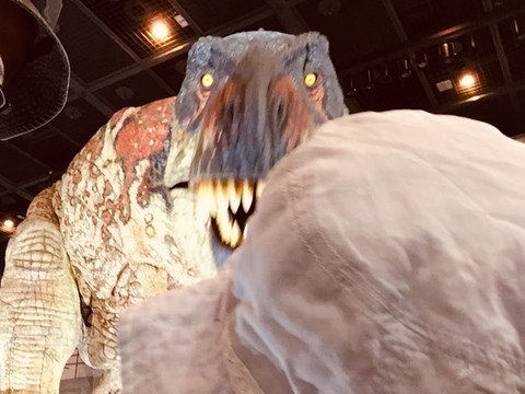 ティラノサウルス