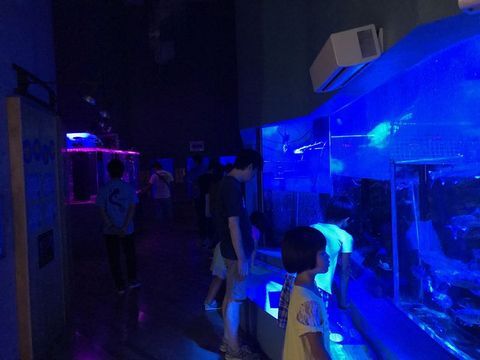 一階