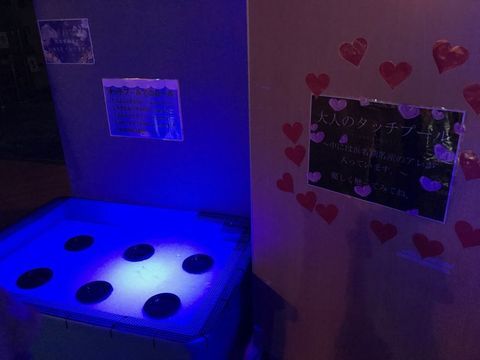 大人のタッチプール