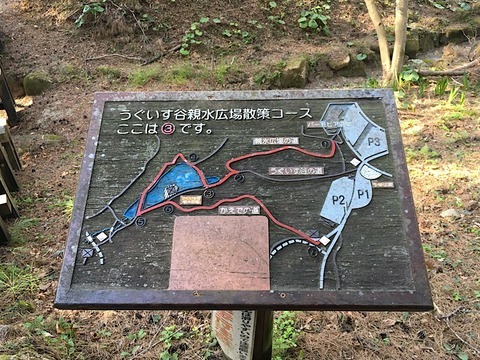 コースマップ