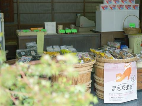まるたま出店2