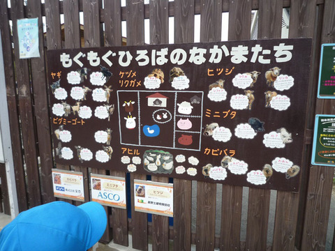 もぐもぐひろばのなかまたち