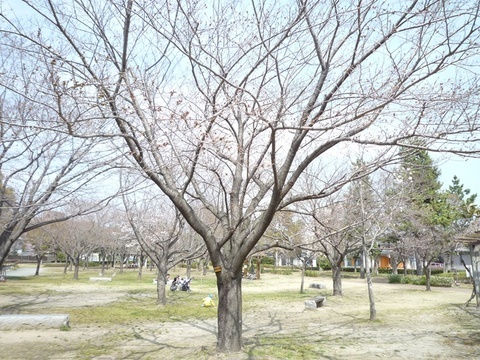 美薗中央公園