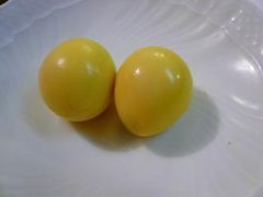 2014030317562_E3818DE38184E3828DE38186E3819AE38289.jpg
