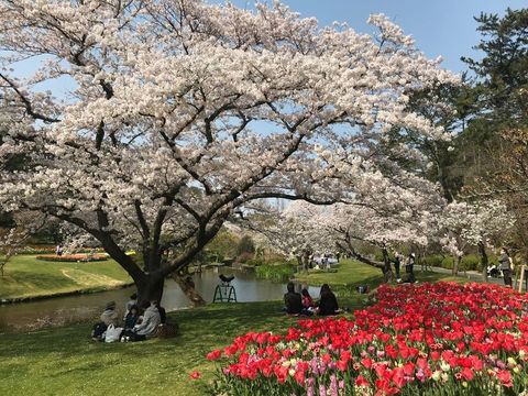 はままつフラワーパーク