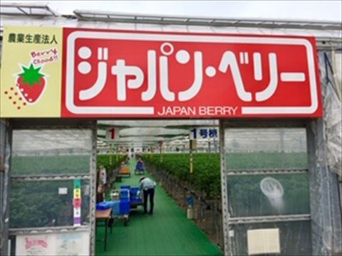 入口