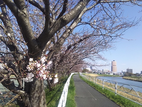 馬込川公園