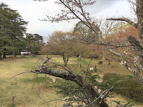 鳥羽山公園