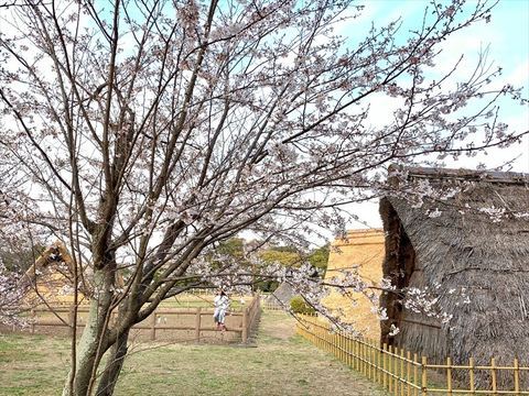 蜆塚公園