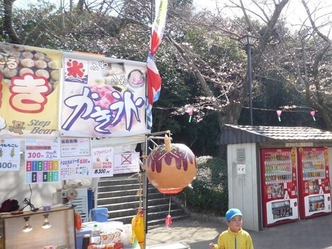 浜松城公園