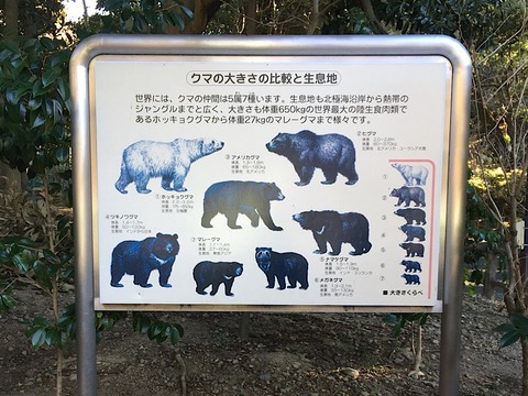 クマ解説看板