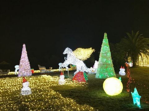 イルミ広場