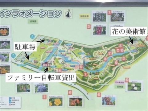 マップ