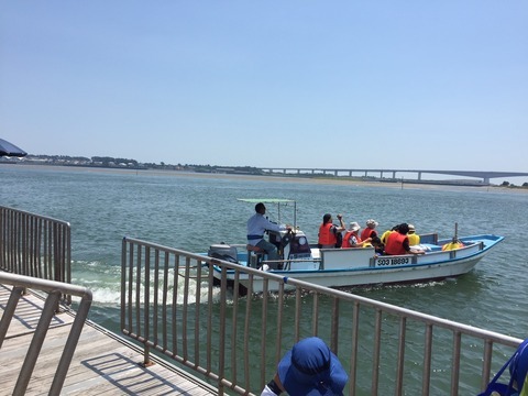 弁天島海浜公園で潮干狩り