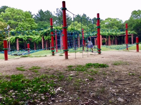 広々した園内